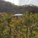 수로부동산공인중개사사무소 이미지