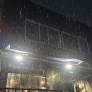 엉뚱한 포차 이미지