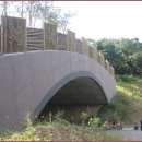 생태다리 이미지