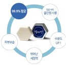 펑미인 이미지