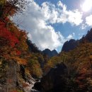 설악산 공룡산행 (10월12/13일) 이미지