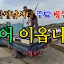 마정 Daum카페