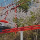 칠성자전거 | 김해 가야랜드 벚꽃 하늘자전거 체험