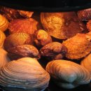 이도수산 이미지