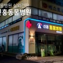 신흥동물병원 이미지