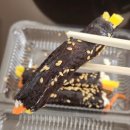 마약김밥 | 서울 광장시장 은성대구매운탕 은성횟집 마약김밥 포장후기