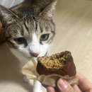 빵댕이넷 | [25-12月] 어차피 매번 역대급일 거니까