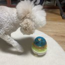 댕댕스낵 이미지