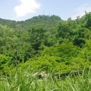 상계근린공원(육교) 이미지