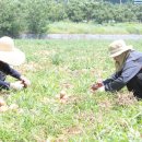 요셉농장 이미지