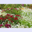 곡성-033 이미지