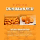 손지농장 이미지