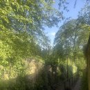 새농민농장(1농장) | WWOOF FRANCE 파리에서 농장체험
