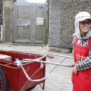 고흥약국 이미지