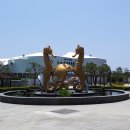 등대수산 이미지