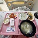 장기읍성 간이화장실 | [임신기록] 창원경상대병원 쌍둥이 제왕절개 후기 ② | 입원 2~4일차, 퇴원까지 기록