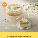 블라썸케이크