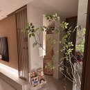 대저로 | 부산 턴키 인테리어 업체 이용 후기 및 셀인 업체 공유