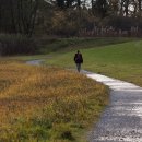 데일리 당구클럽 이미지