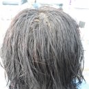 자르세헤어 이미지