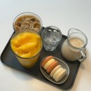 반포대로24길 47 | 교대역 디저트 마카롱 선물 레어마카롱 교대점 카페 +일상