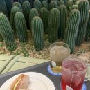 달콤한이층 | 3층부터 8층까지 모두 카페인 홍대 대형카페 층별 실내 후기 상수역 디저트 맛집 추천