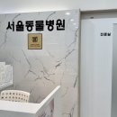 남양종합동물병원 네이버블로그