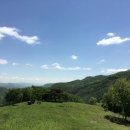 소나무목장 이미지