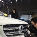 팀모터스 이미지