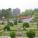 경북대학교 이미지