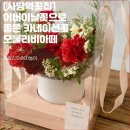 오블리비아떼 이미지