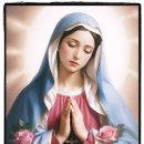 사랑하는 마리아 / 패티김 이미지