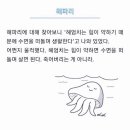 진도해파리
