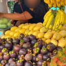 보나약국 이미지