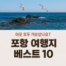 신성자동차 정비공장 | 포항 가볼만한곳 베스트 10 후기