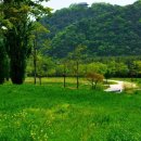 꼭지목장 이미지