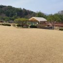 별다래 펜션 이미지