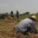 말밭농장 이미지