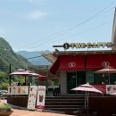 김삿갓면-35 | 강원도 영월 고씨동굴 인근 맛집 유일 카페 더 카페 내돈내산 후기