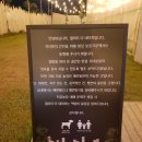 대문안 농장 이미지