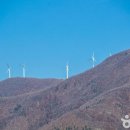 초원목장B 이미지