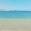 동해바다 이미지