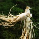 경희편안한의원 이미지