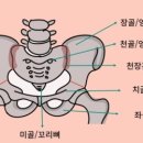 아마존버블