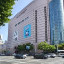 파스쿠찌 대전롯데점 | [대전 성심당 롯데점] 쏟아지는 생망고와 진한 콩포트의 완벽한 조화, 망고시루 내돈내산 후기