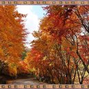 한천자연휴양림 이미지