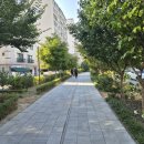 도깨비전시관 | 공릉동 도깨비시장 맛집 총정리, 아이와 함께 장보기 후기 (명이칼국수·만두장성·땅스부대찌개)