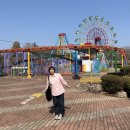 [전주동물원 &amp; 드림랜드 후기] 진짜 재밌었다