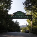 홈브리지 캐빈호스텔 이미지