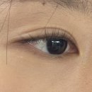 노메이 | 안산 속눈썹펌 추천, 손상모도 깔끔하게! 수분영양 + 블랙틴팅 + 노글루펌 후기